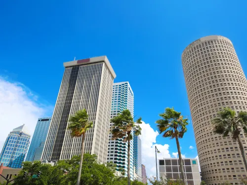 Sumter Stump Grinding