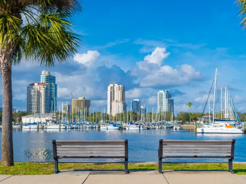 Sanford Tree Removal