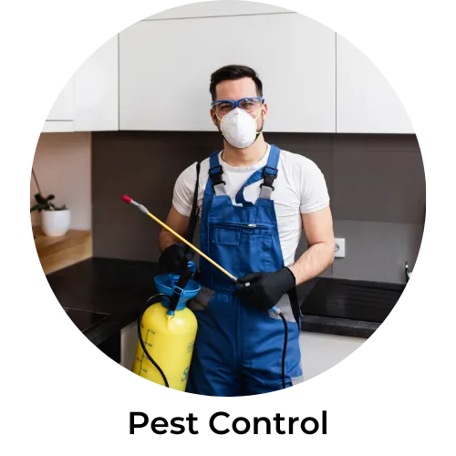 Pest Control Services