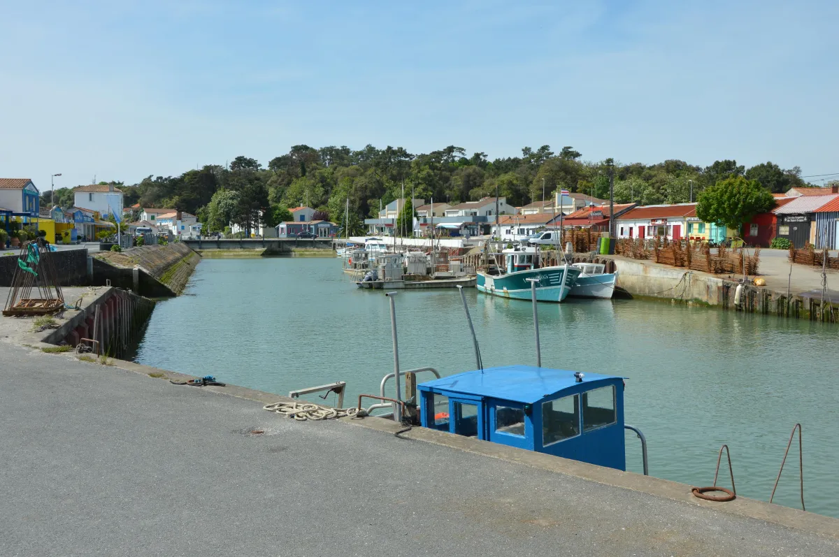 Chateau de Rousselet - Viticulture - Saint-Trojan