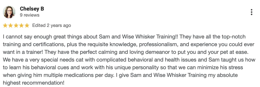 5 Star Review: I cannot say enough great things about Sam and Wise Whisker Training!! They have all the top-notch training and certifications, plus the requisite knowledge, professionalism, and experience you could ever want in a trainer! They have the perfect calming and loving demeanor to put you and your pet at ease. We have a very special needs cat with complicated behavioral and health issues and Sam taught us how to learn his behavioral cues and work with his unique personality so that we can minimize his stress when giving him multiple medications per day. I give Sam and Wise Whisker Training my absolute highest recommendation!