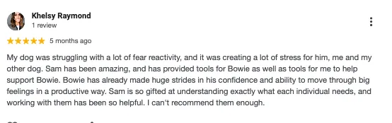 5 Star Review: My dog was struggling with a lot of fear reactivity, and it was creeating a lot of stress for him, me and my other dog. Sam has been amazing, and has provided tools for Bowie as well as tools for me to help support Bowie. Bowie has already made huge trides in his confidence and ability to move through big feelings in a productive way. Sam is so gifted and understnanding exactly what each individual needs, and workin with them as been so helpful. I can't recommend them enough.