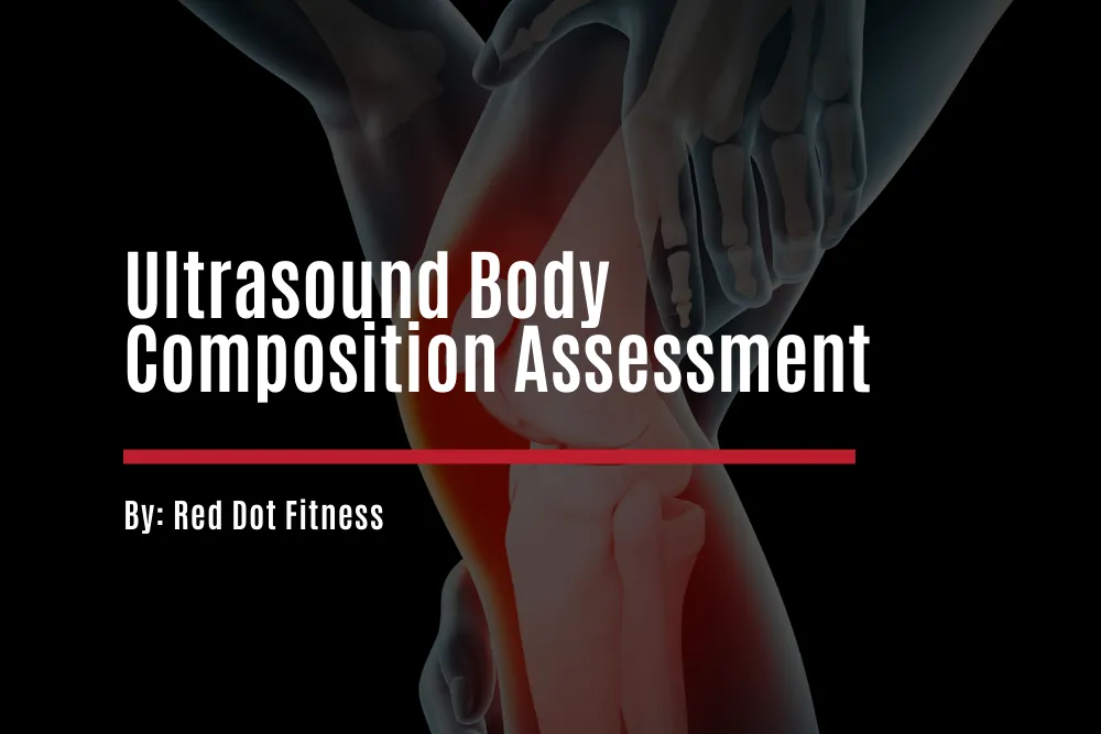 Ultrasound Body Composition Testing at Red Dot Fitness San Jose