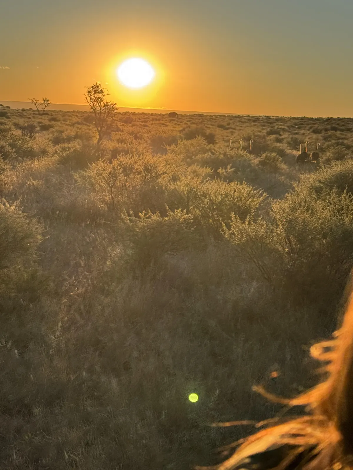 From April Fools to Easter Truth: The Prank That Backfired…and the Truth That Changed Everything