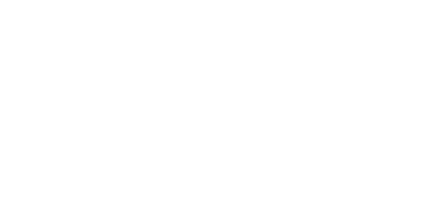 Real Broker LLC