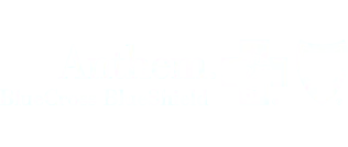 [Aetna Logo]