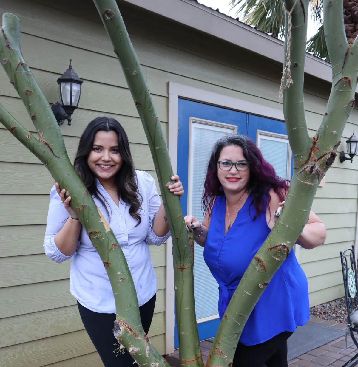 Therapists collaborating in clinic