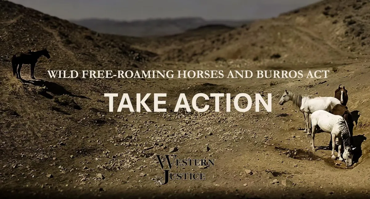 It’s Time to Follow the Law: Restore Balance on America’s Public Lands