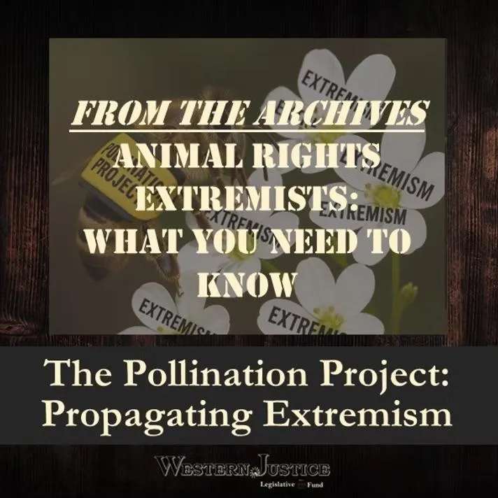 The Pollination Project: Propagating Extremism