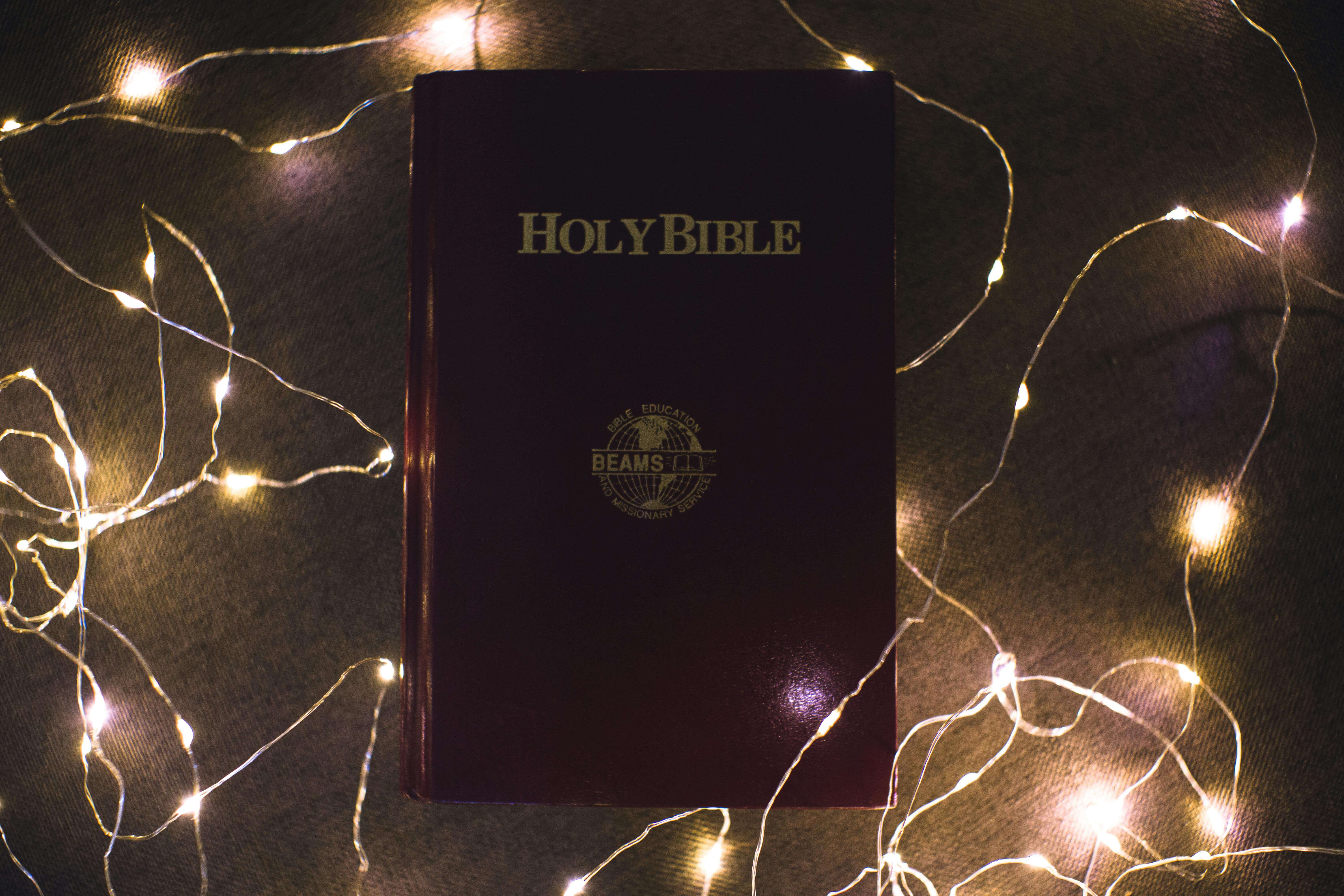 Bible with twinkle lights behind it