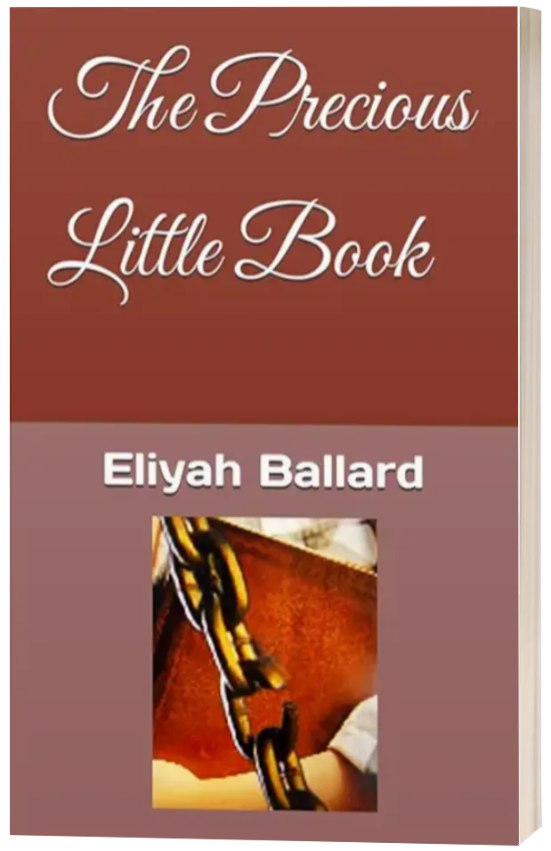 "The Precious Little Book" Cover Image