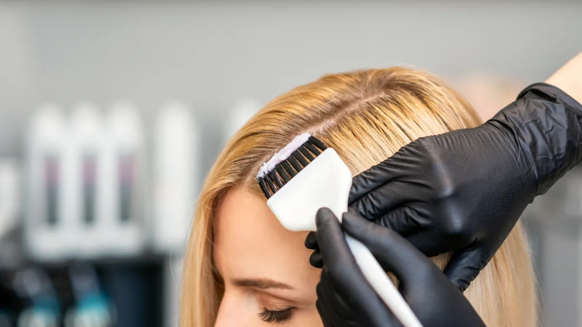 green trees and plants during daytime