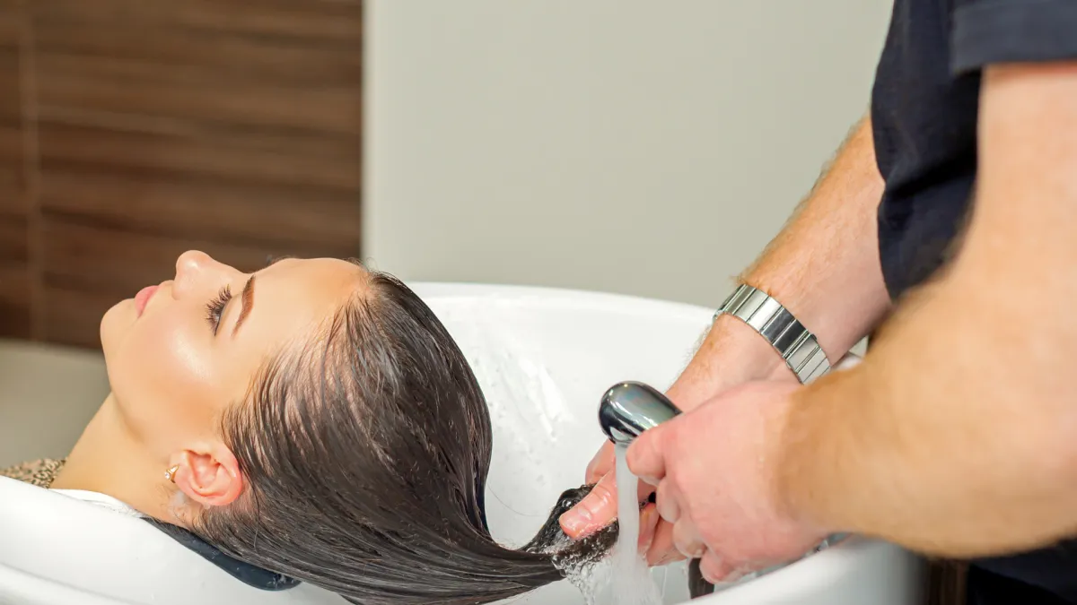 green trees and plants during daytime