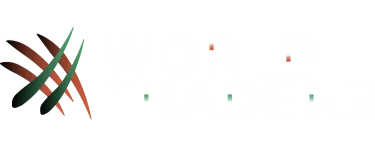 Broker, inversiones, trading, ganancias, dinero, criptomonedas