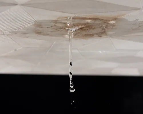Springfield Roof Leak Repair