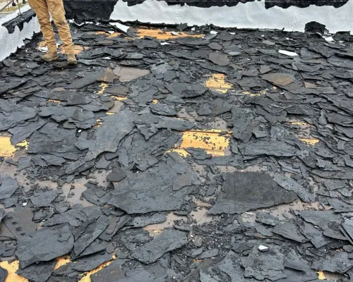 Roof Replacement