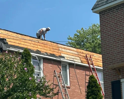 Roof Repair Media