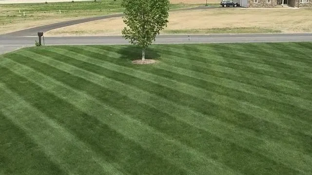 Freshly mowed and striped residential lawn in Southampton, Massachusetts