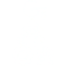 Google Ads Strategy