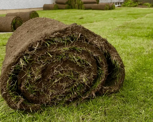 New Lawn Installation Avon