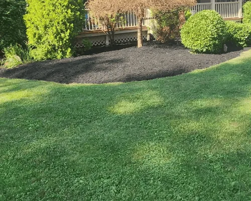 {{ custom_values.service_1 }} in {{custom_values.biz_area_1})