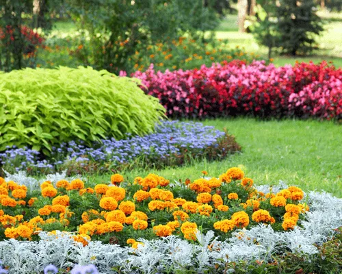 New Lawn Installation in Avon