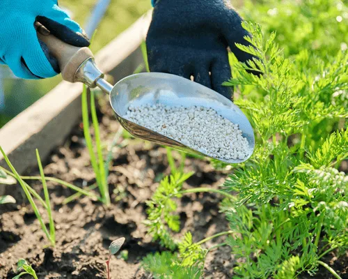 Fertilization in Avon