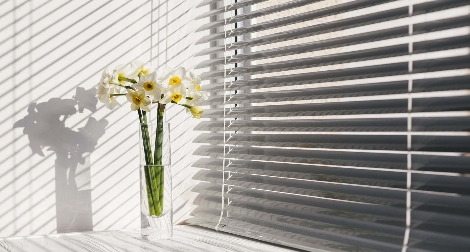 Venetian Blinds