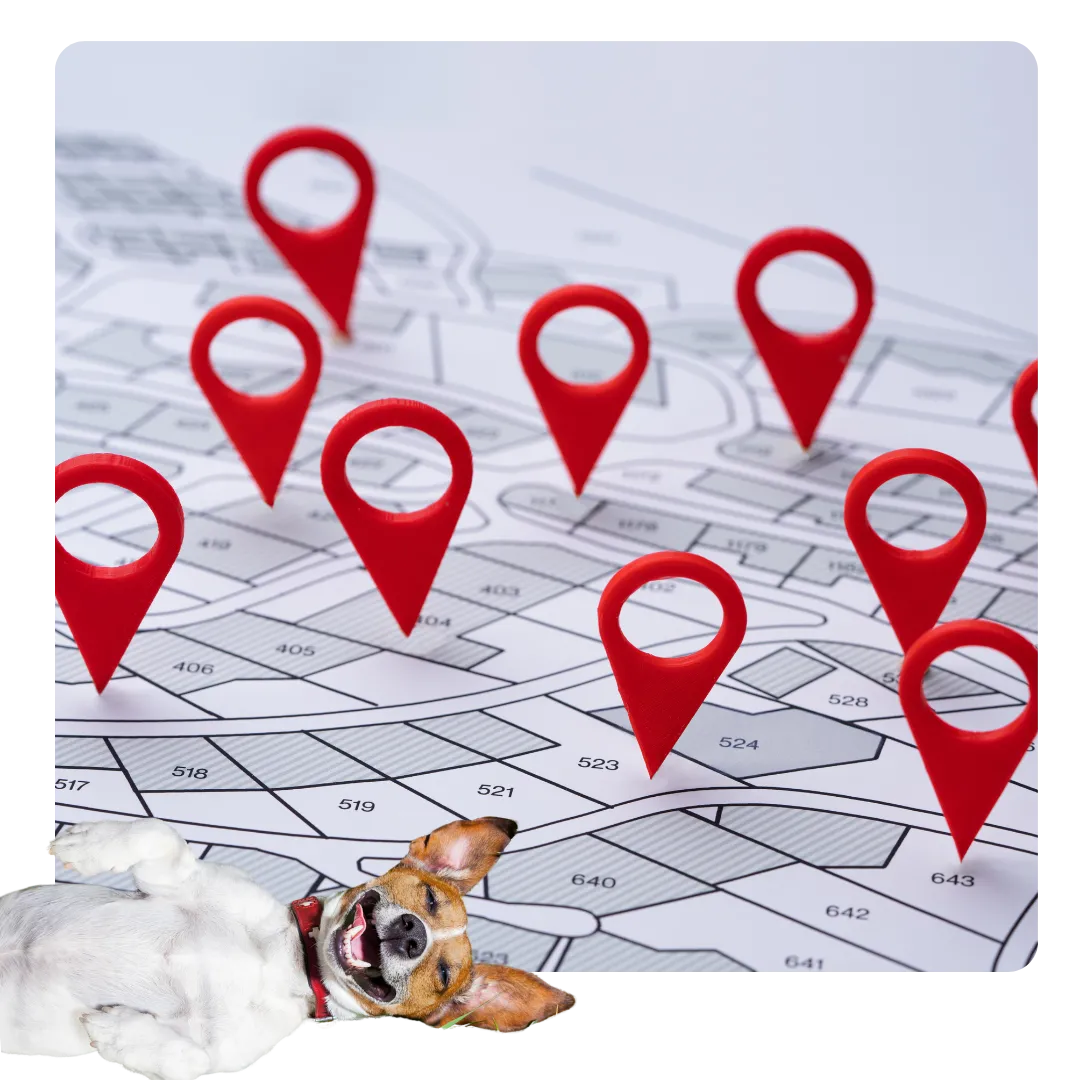 location map with pins and dog