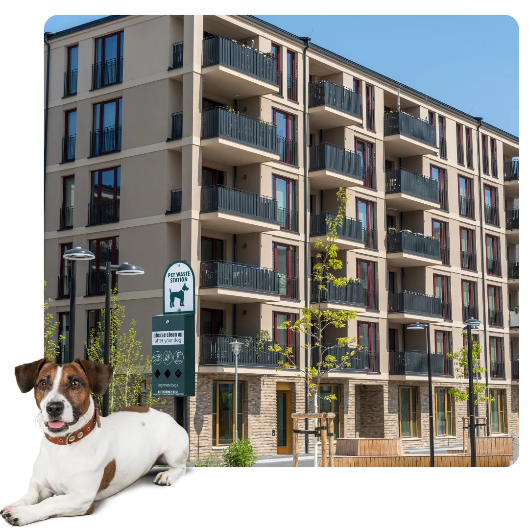 Aartment complex with dog laying in front of it