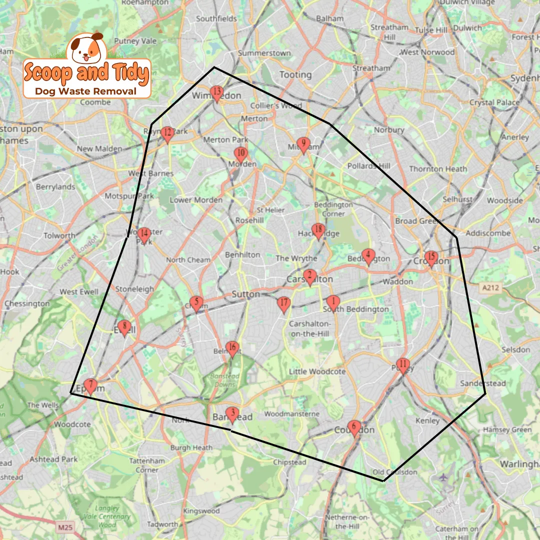 Map showing Scoop & Tidy service coverage across SW London and Surrey.