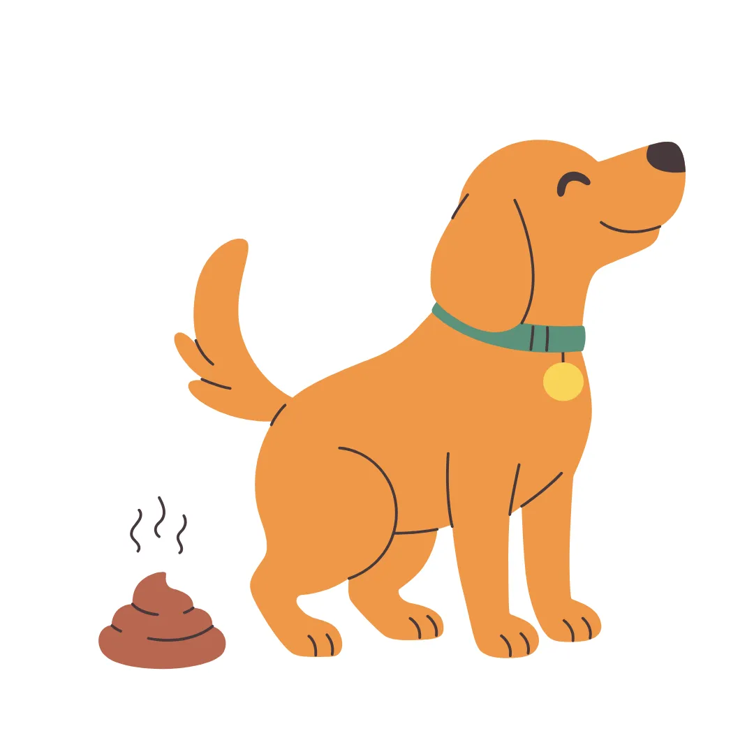 Dog doing its business