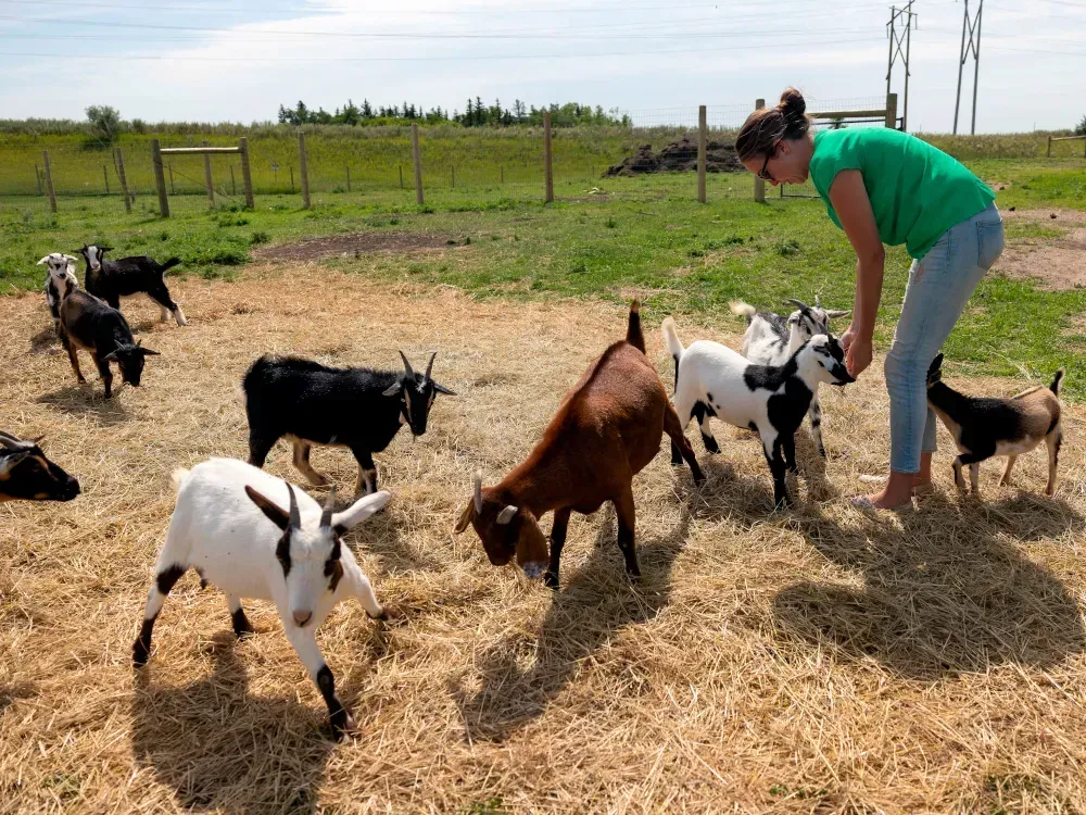 Save the family farm