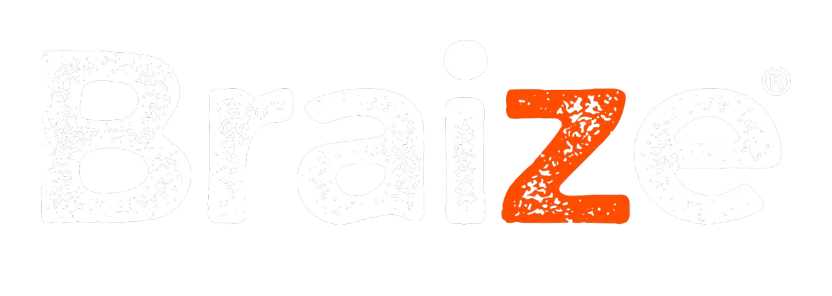 Braize log