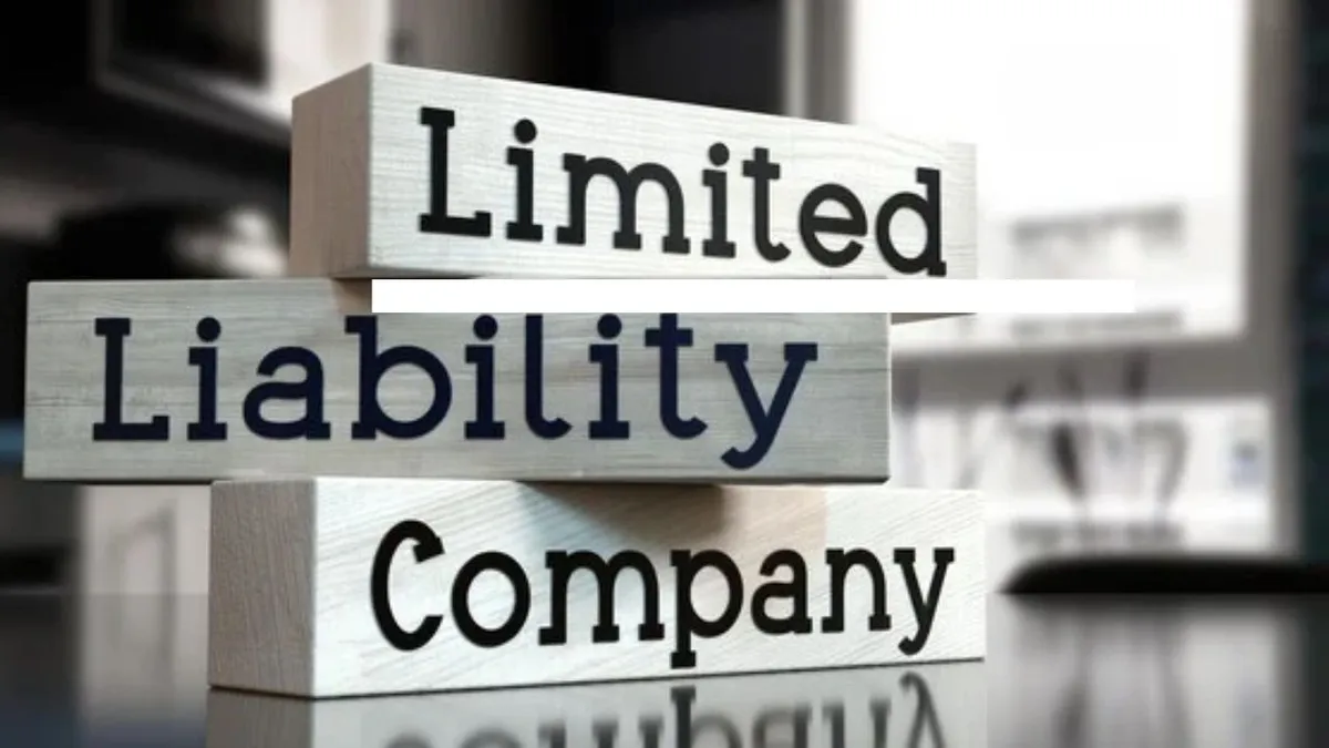 Wooden blocks spelling 'Limited Liability Company'