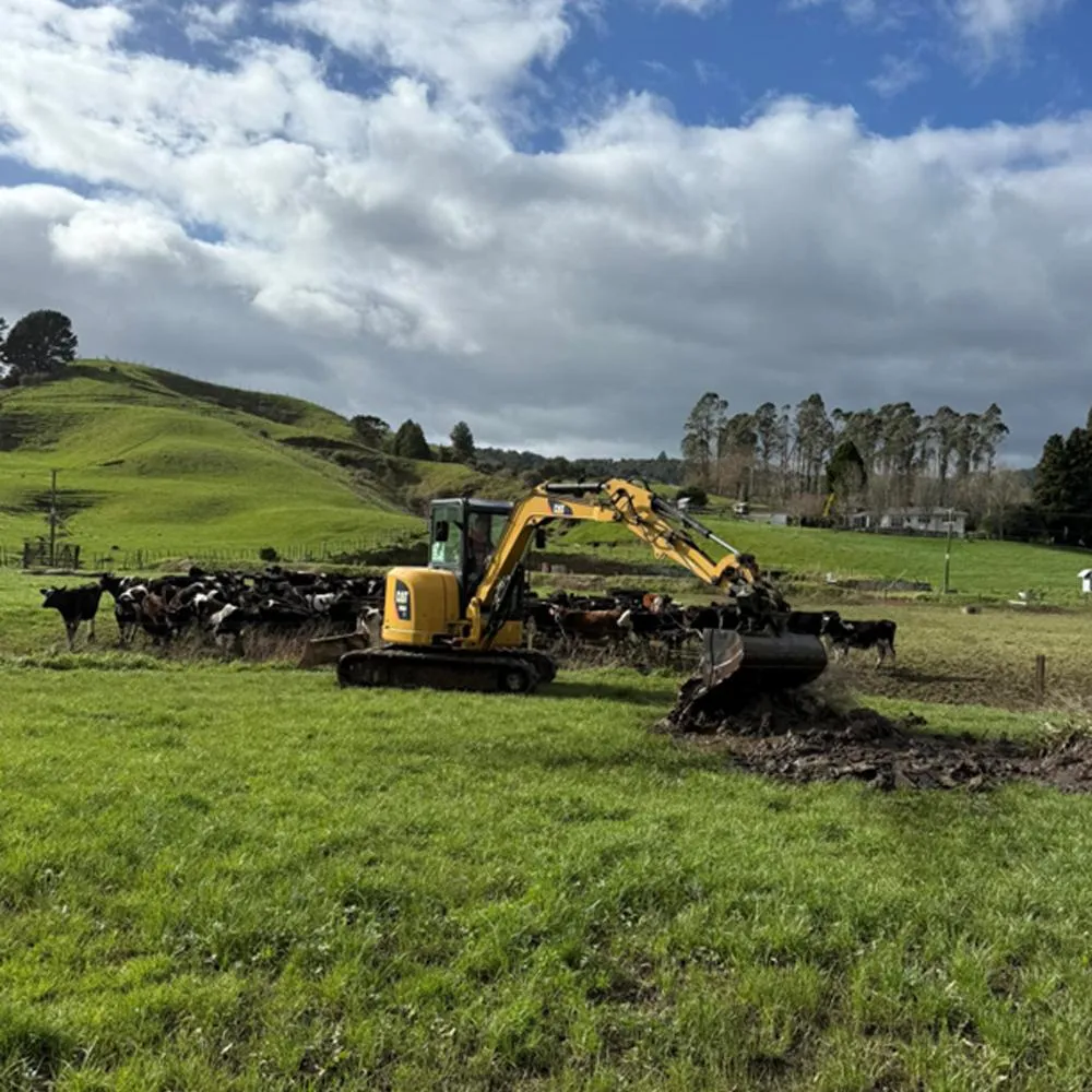 professional earthmoving contractor Bay of Plenty