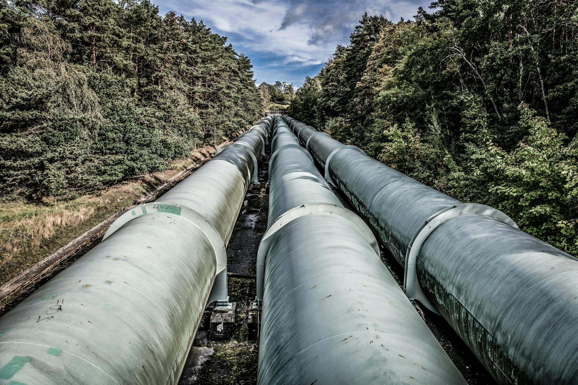 Pipeline Visibility for Small Businesses: Stop Losing Leads