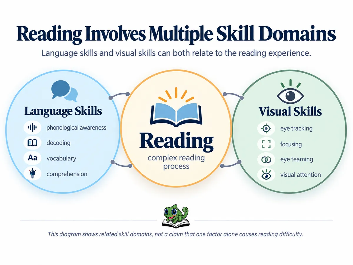 Diagram showing language and visual skills as separate factors involved in reading