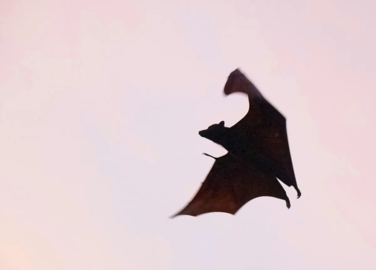 The Client You Should Fire: How to Spot a Profit Vampire