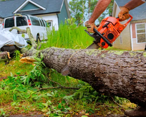 Landscaping in Boise