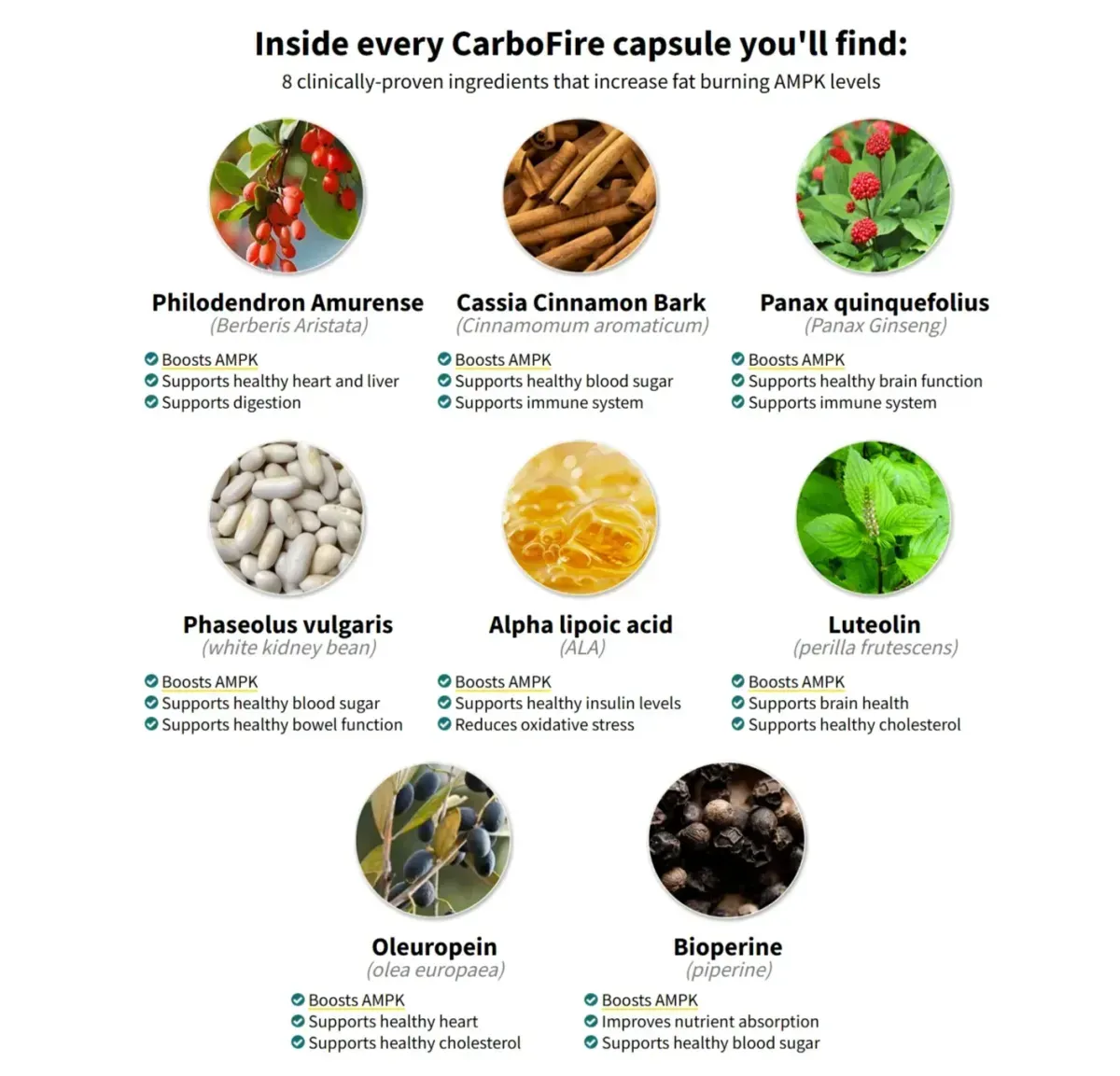 carbofire Ingredients