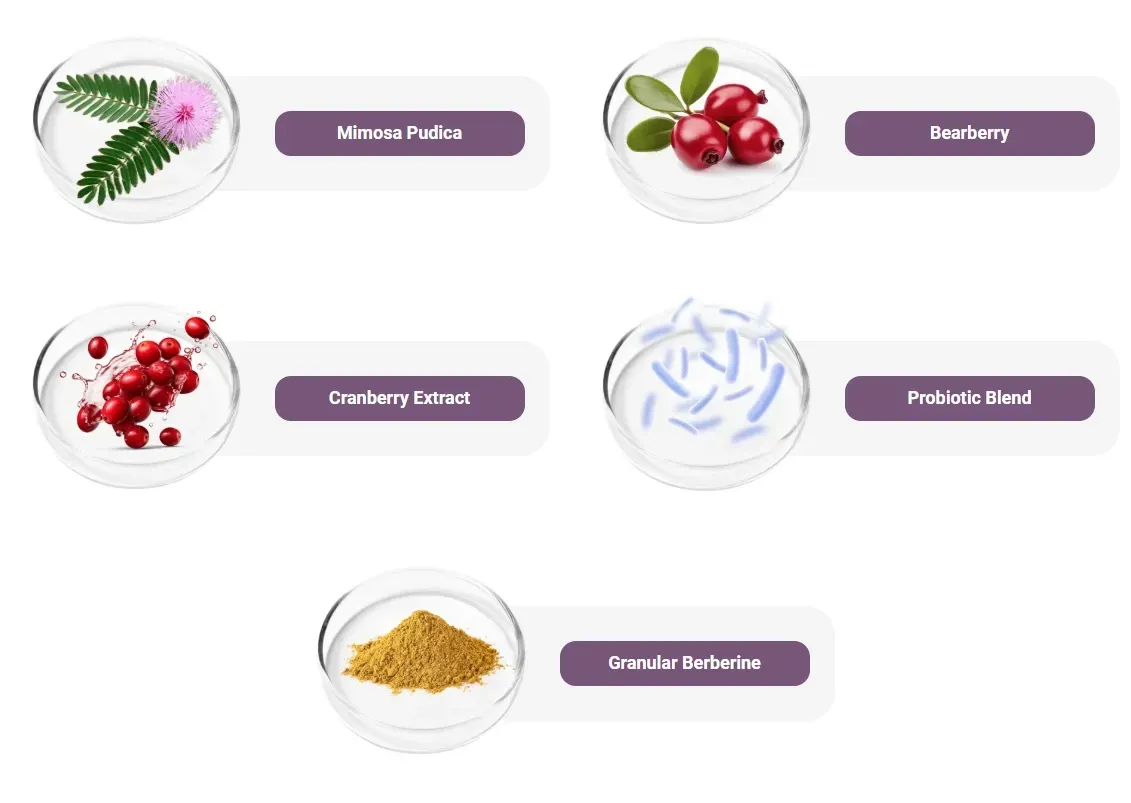 FemiPro Ingredients