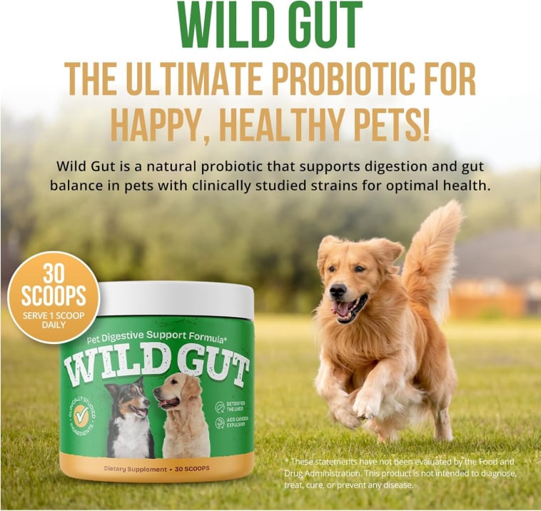WildGut supplement