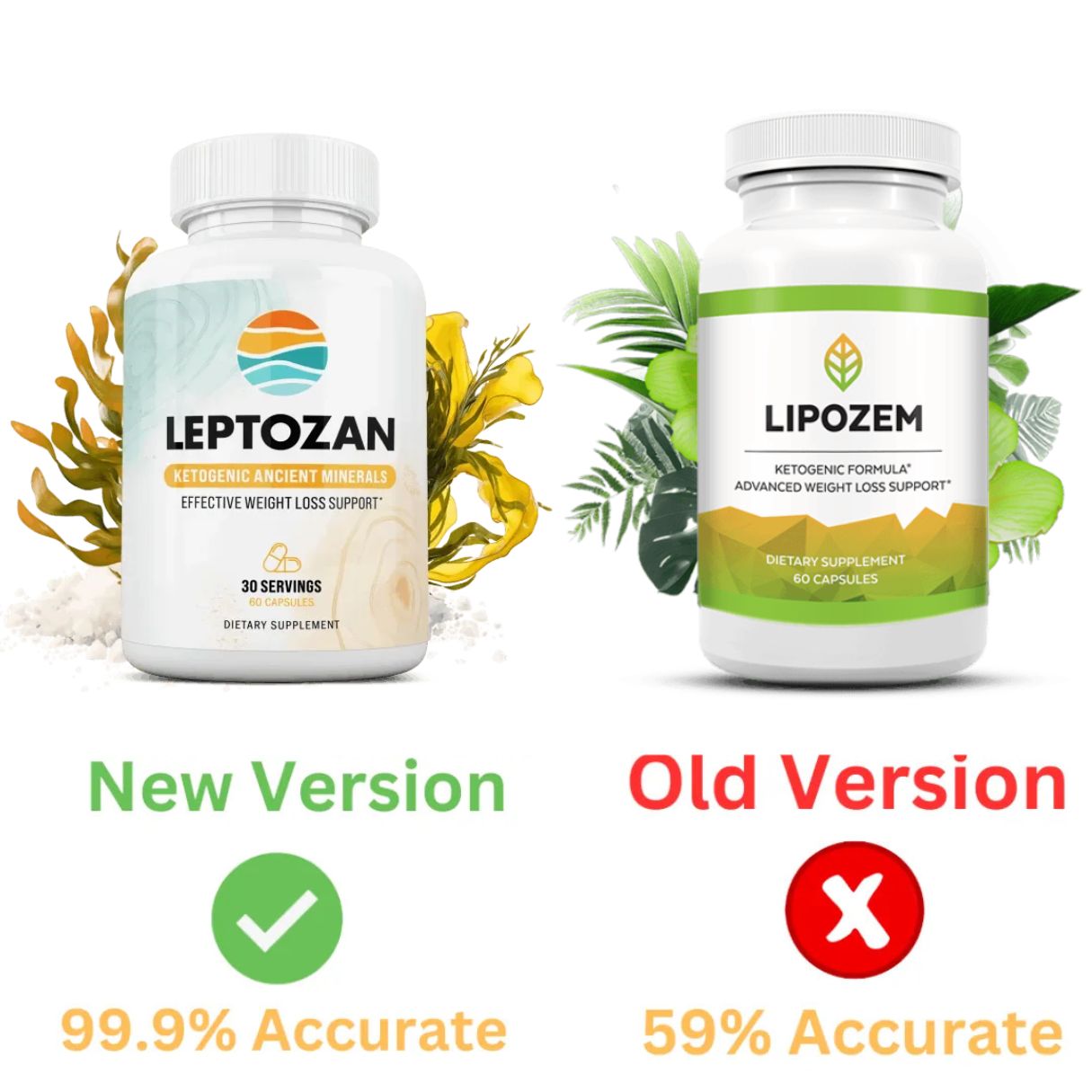 lipozem