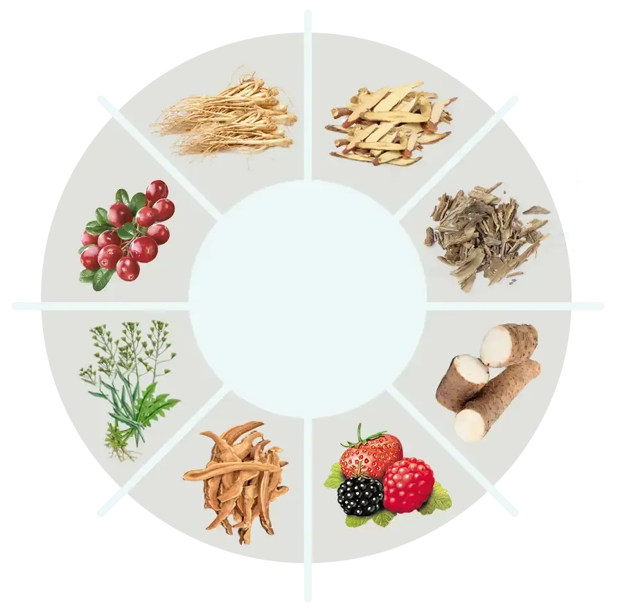 NativeGut Ingredients