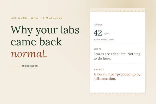 Why Your Labs Came Back Normal When You Feel Like ThisNew Blog Post