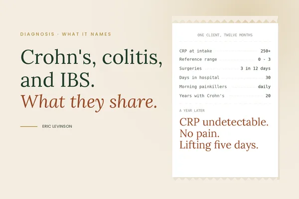 Crohn's, Colitis, and IBS: What the Diagnosis Does Not Tell You