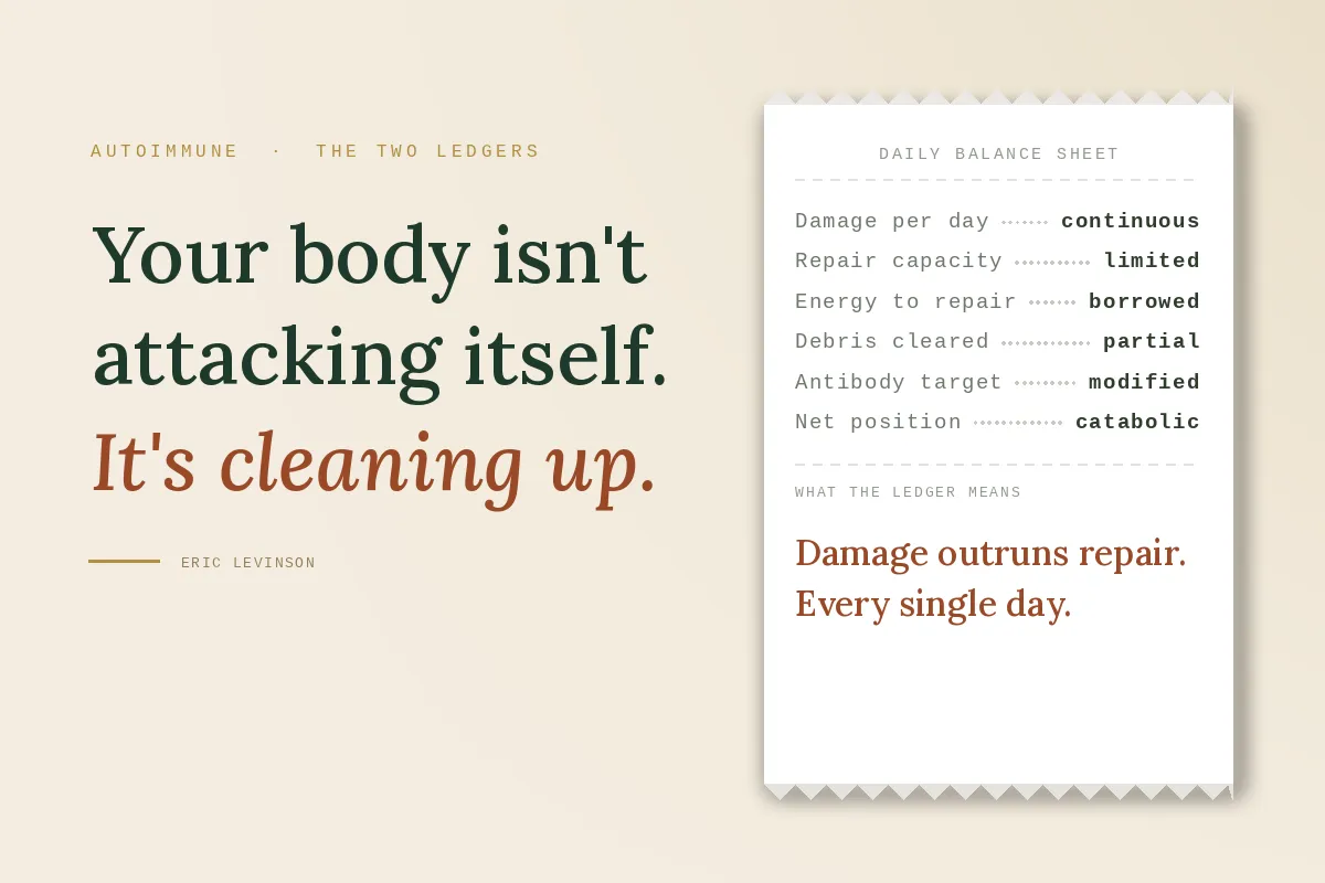 Why Autoimmune Isn't Your Body Attacking Itself