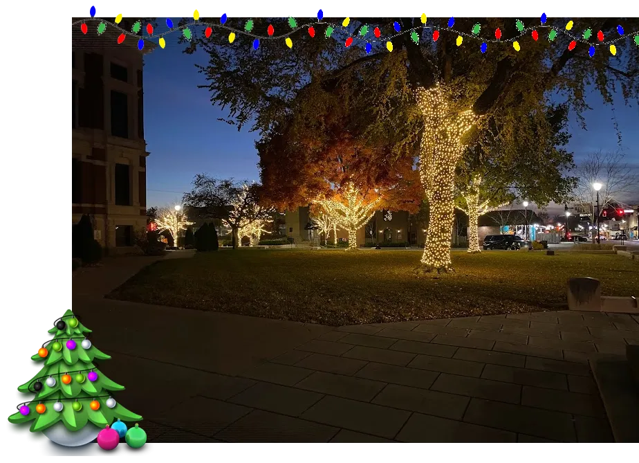 Blue Wheel Pressure Washing Professional Christmas Lights Installation
