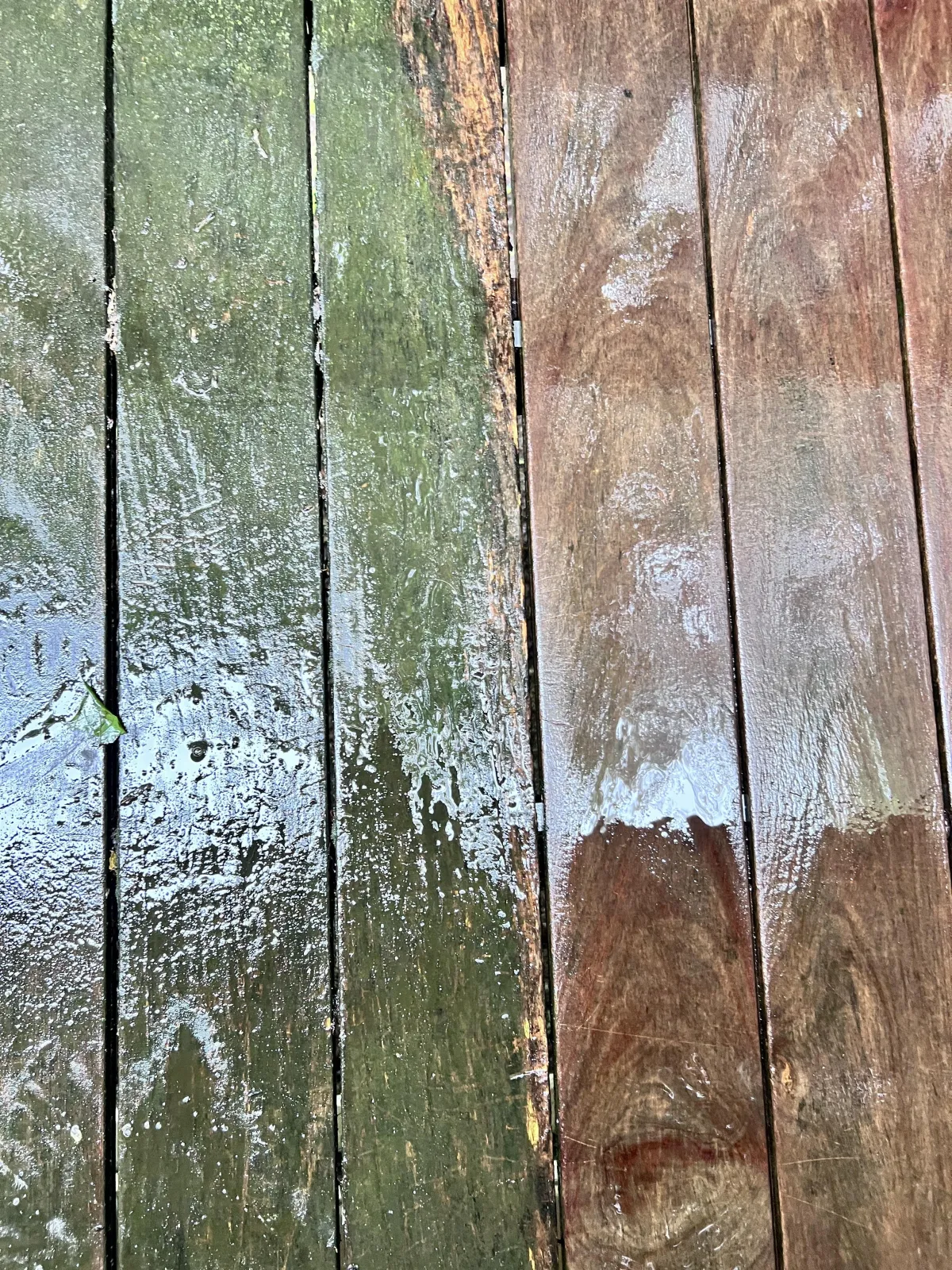 Kalamazoo residential and commercial property complete exterior cleaning services